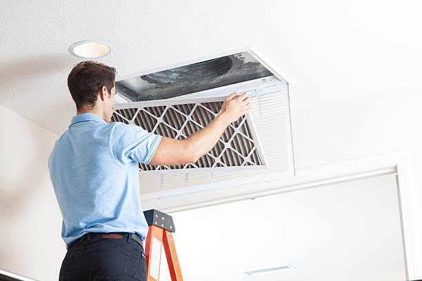 Best Local HVAC Companies  in Ladysmith, WI